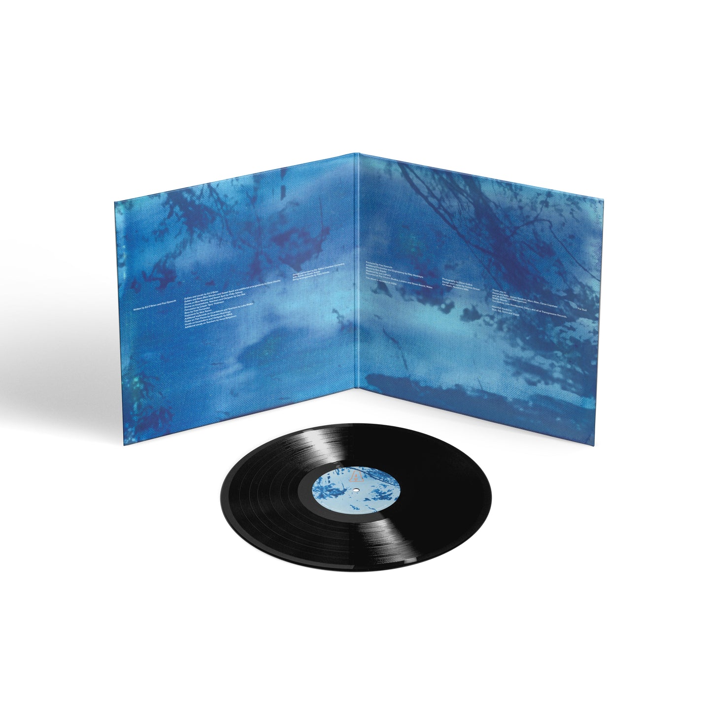 Blue Morpho - Classic Black Vinyl