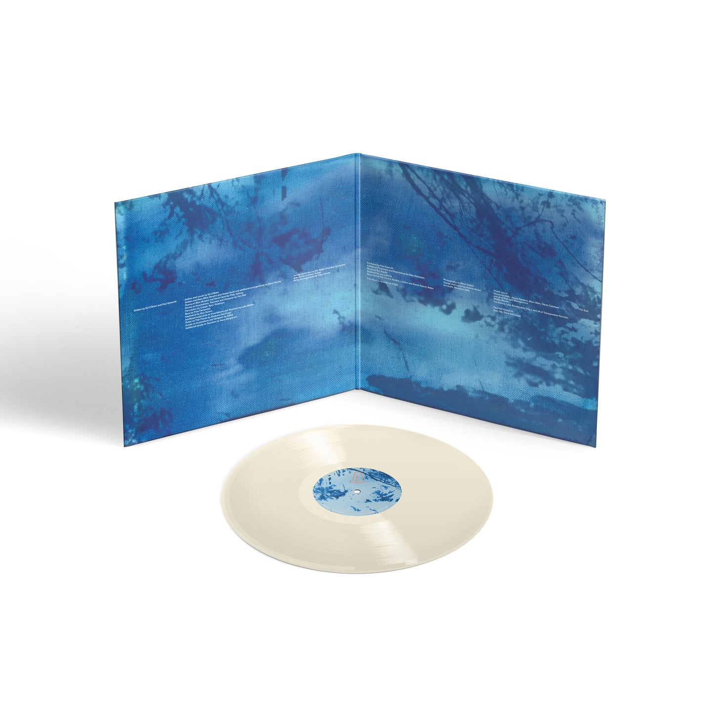 Blue Morpho - Exclusive Cream Vinyl + Signed Print